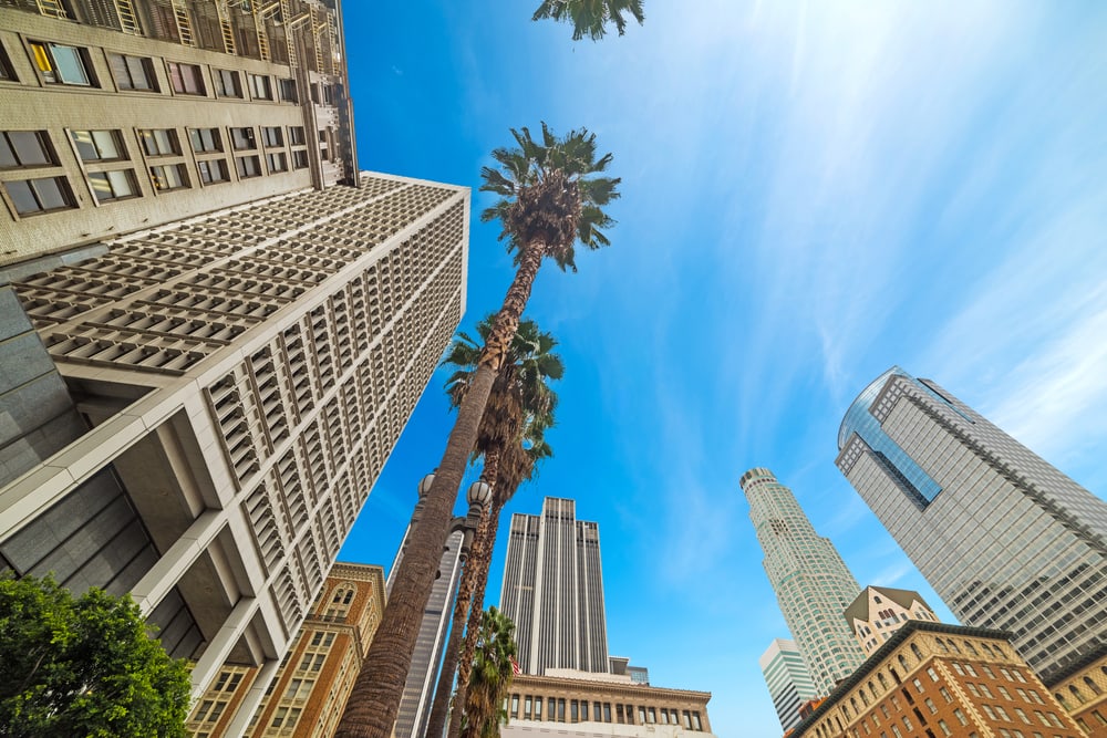 looking up at palm trees and buildings in LA with a blue sky and white clouds streaked across the sky