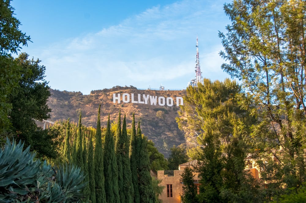Through the trees, high on the hill is the large white letters of the Hollywood sign 