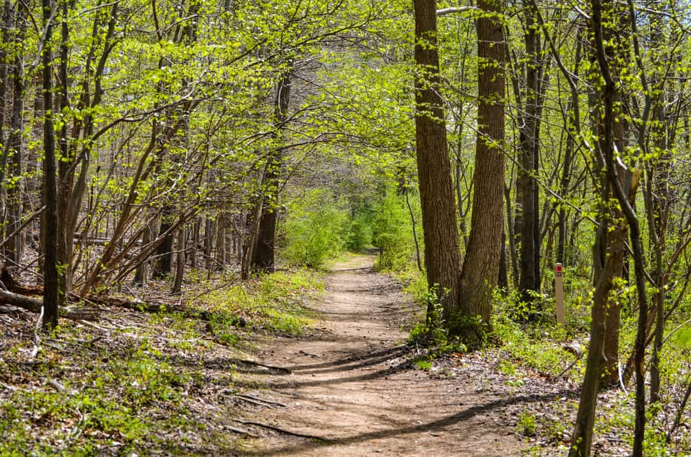 a path in the Brandywine Valley