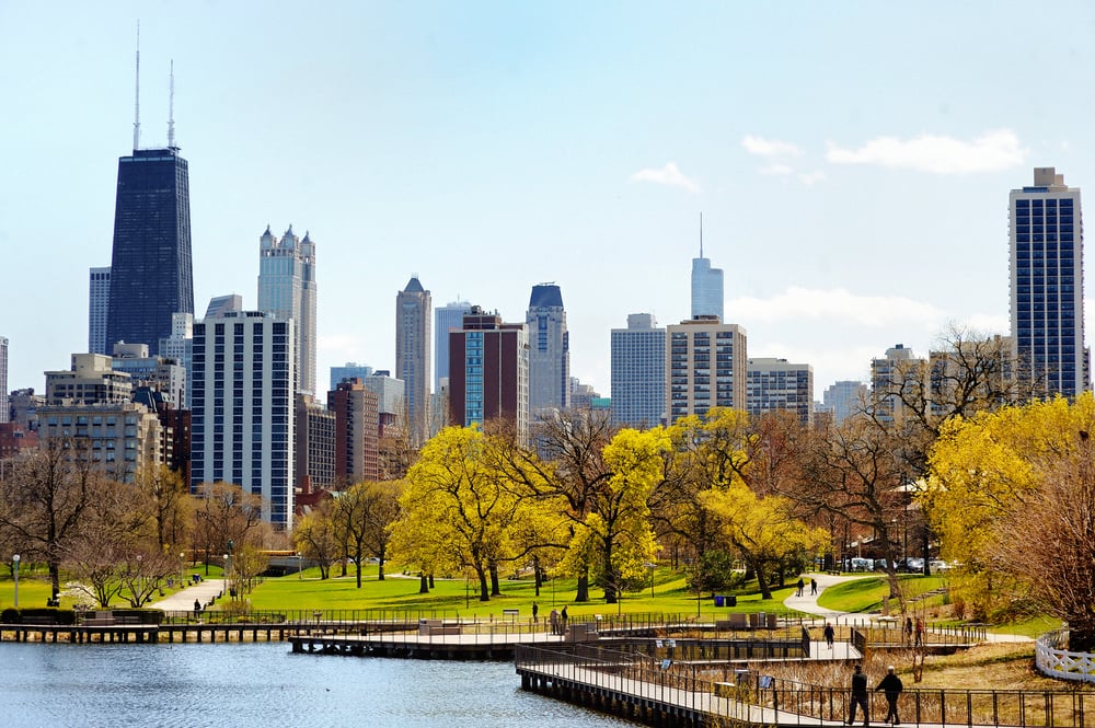 A view of the chicago skyline with a light blue sky above and a green park and body of water in the foreground. There are trees in the park with fall foliage