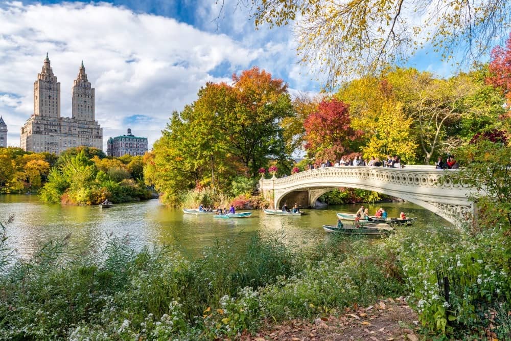 Lake and bridge and trees with fall foliage in Manhattan in New York City