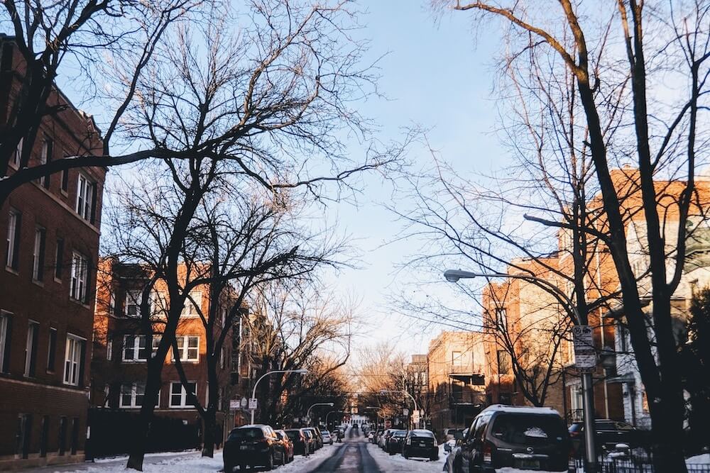 A street in a Chicago neighborhood during the winter. There are tall trees lining the street and they are all bare. There is snow on the road and the sidewalk and there are many cars lining the street on both sides. 