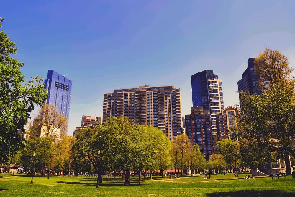 park with green trees and high rises 