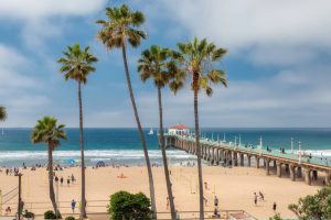 boardwalk extending into the Pacific Ocean and palm trees in the foreground in Los Angeles at the beach