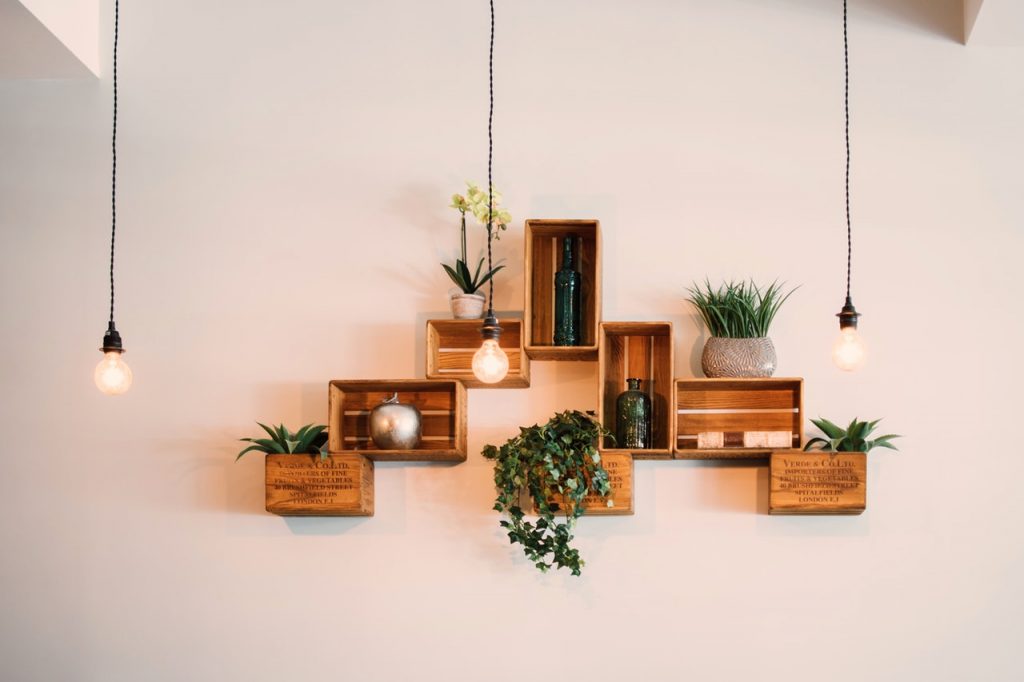 wooden crates mounted on the wall with plants on top and inside with three lightbulbs hanging down in front on black wires
