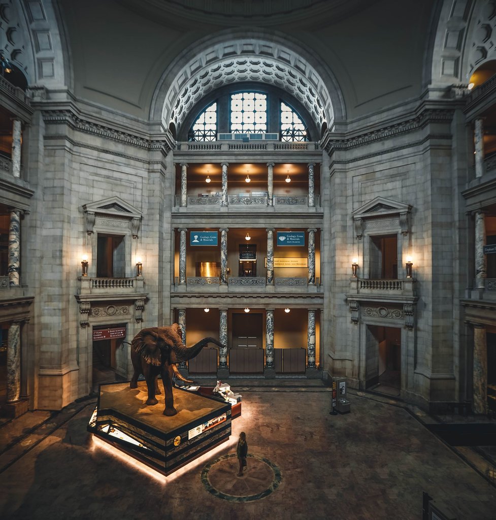 view of the museum of natural history lobby and building interior from above