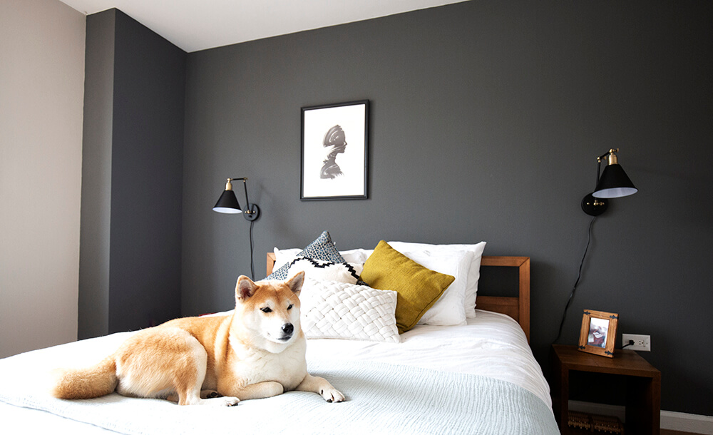 A shiba inu dog sits on a bed in a Blueground apartment in New York City