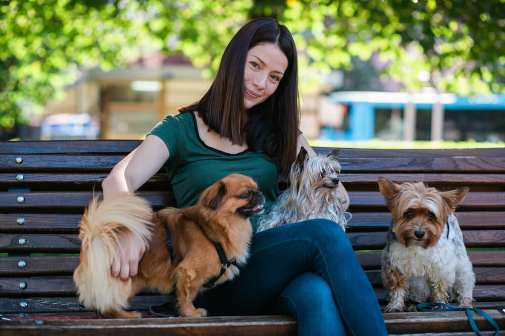 a woman with dark hair wearing a green shirt and dark blue jeans is sitting on bench with three small dogs