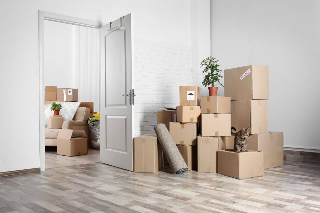 A large room full of brown cardboard boxes in the corner full of belongings. There is also a rolled up carpet and a plant and cat on top of the boxes. They are next to an open door that leads to another room with a couch and many more packed boxes.