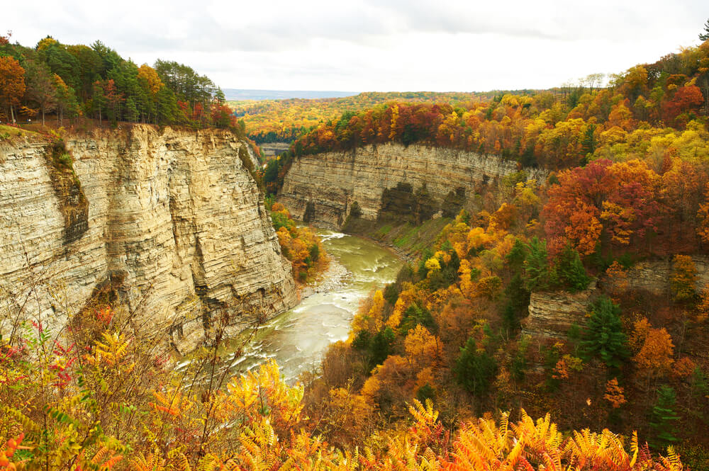 a landscape from Letchworth park during the fall 