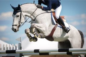 a horse-rider and his horse jumping over a hurdle at the International Horse Show in DC