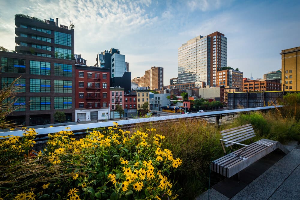 high line park in chelsea manhattan there is a wooden bench next to bright yellow flowers and tall buildings in the skyline in the background