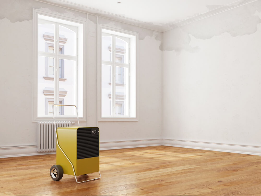 pest control Chicago yellow dehumidifier in an apartment