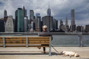 dog and its owner sitting across the river in NYC