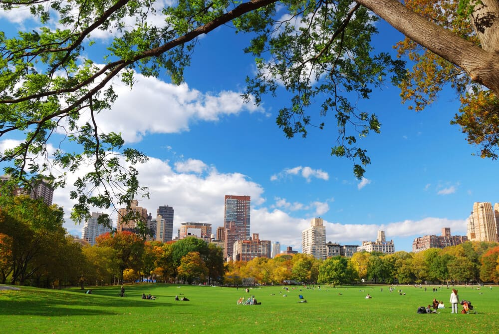 Central Park in NYC on a sunny summer day, green grass, trees and skyscrapers in the background 