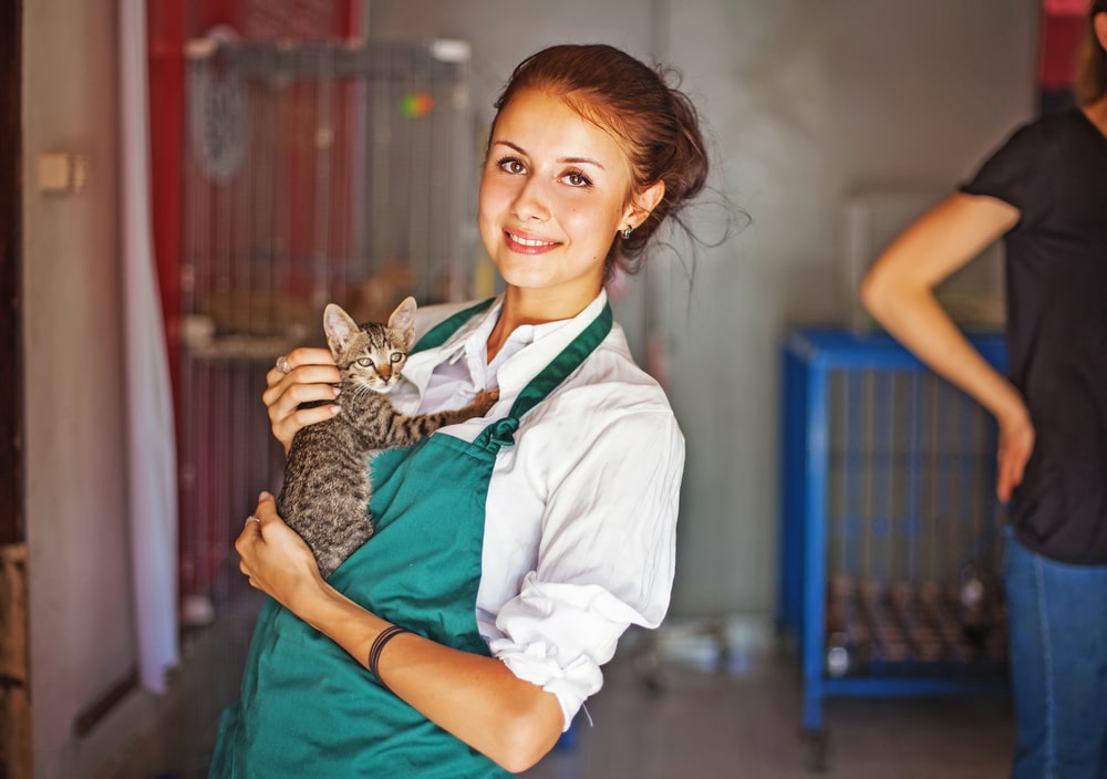 Female animal shelter employee with a cat 