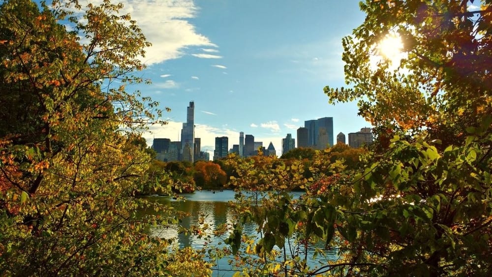 Park in New York in the sunshine. There is a large body of water and trees and leaves on either side. There are many tall buildings in the distance, reflecting off of the water.