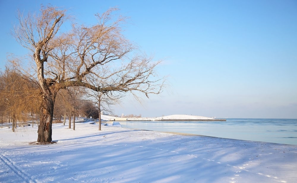 a snowy landscape of a lake in Chicago 