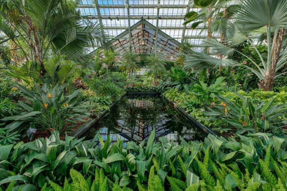 Garfield Park Conservatory is one of Chicago's top 10 hidden gems