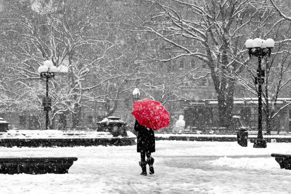 weather monthly NYC Person with a red umbrella standing in a snowy tree-lined street in NYC