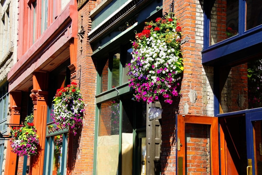 Baskets of flowers adorn the walls of shops and restaurants in the Pioneer Square neighborhood