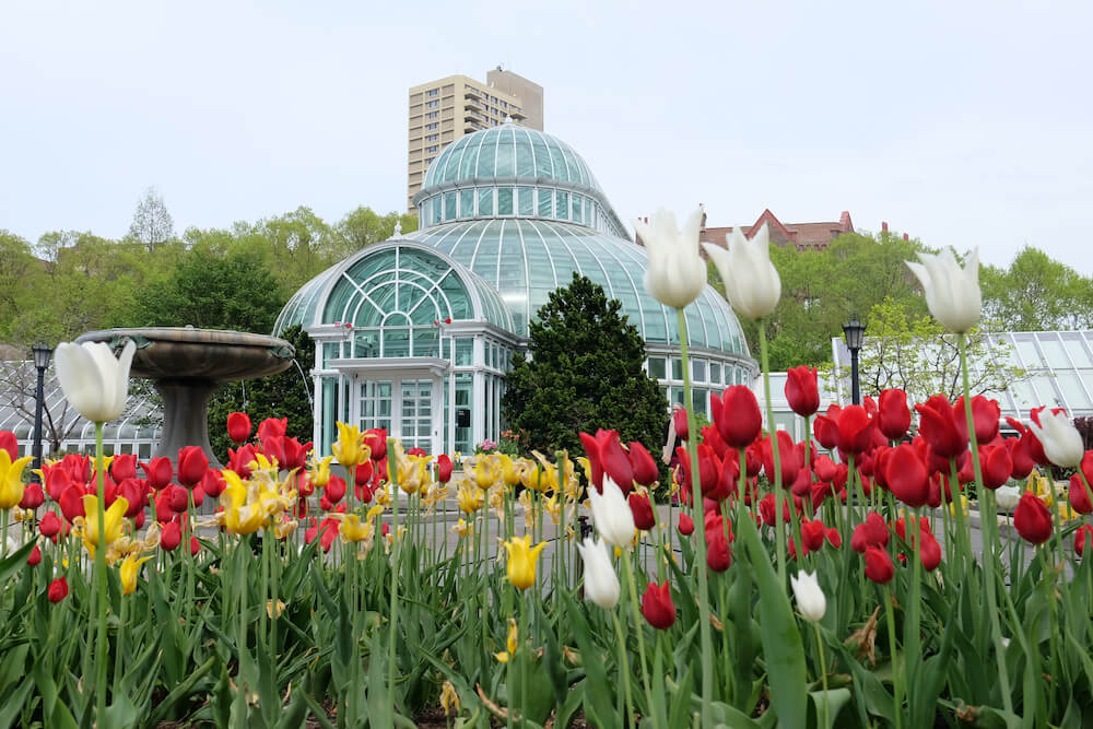 new york botanical garden is one of many things to do in nyc