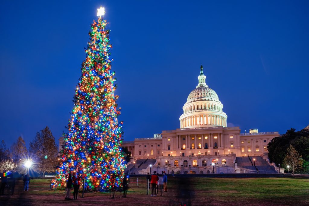Christmas tree in front of White House in DC