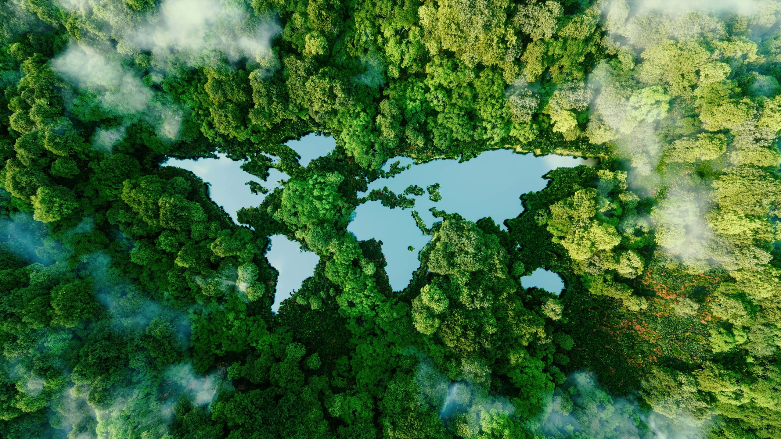 World outline in forest