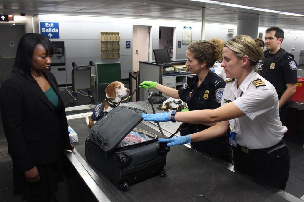 airport officials examine luggage at the airport