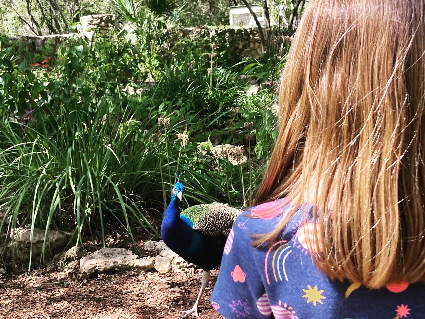 A Dad’s Guide to Staying in Austin With Young Kids